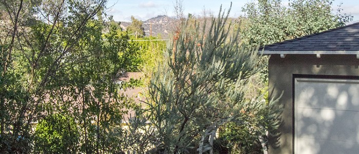 1723 Kaweah Dr 003-mls